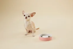 PAIKKA Slow Feed bowl XS, pink