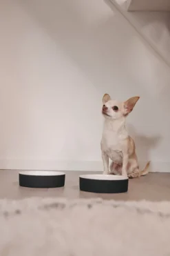 PAIKKA Slow Feed bowl XS, black