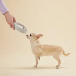 PAIKKA Slow Feed bowl XS, grey