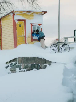 Pelago Bicycles Bristol bicycle, M, black