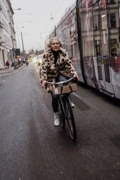 Pelago Bicycles Commuter Front Rack, L, polished aluminium