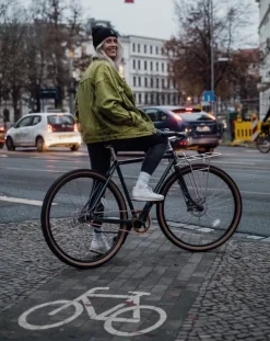 Pelago Bicycles Commuter Front Rack, L, polished aluminium