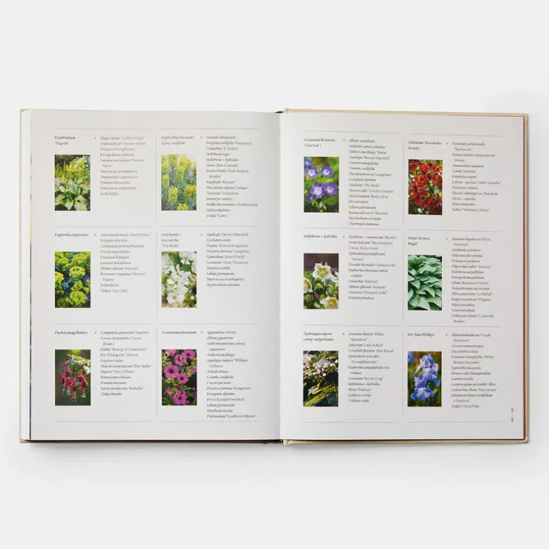 Phaidon The Seasonal Gardener: Creative Planting Combinations