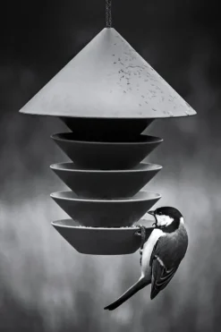 Pidät Bird Silo feeder, terracotta