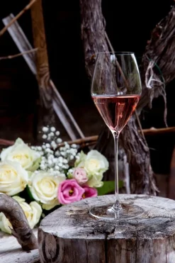 Riedel Veloce Sauvignon Blanc / Rosee wine glass, 2 pcs