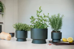 Rosendahl Flowerpot, 12 cm, green