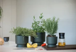 Rosendahl Flowerpot, 12 cm, green