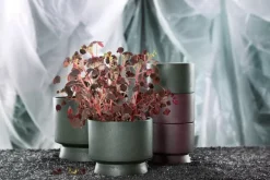 Rosendahl Flowerpot, 15 cm, green