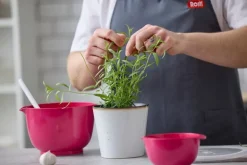 Rosti Margrethe mixing bowl 3 L, beetroot