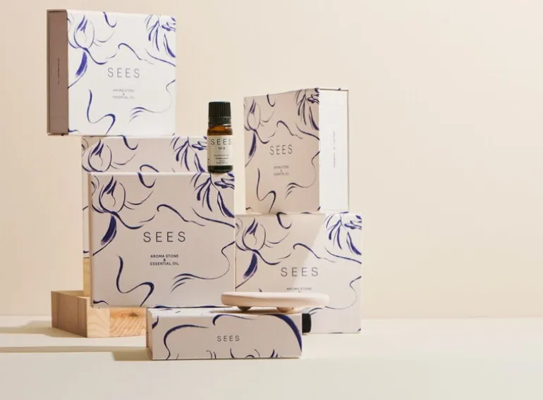 SEES Company Aroma stone - essential oil set, 10 ml, eucalyptus