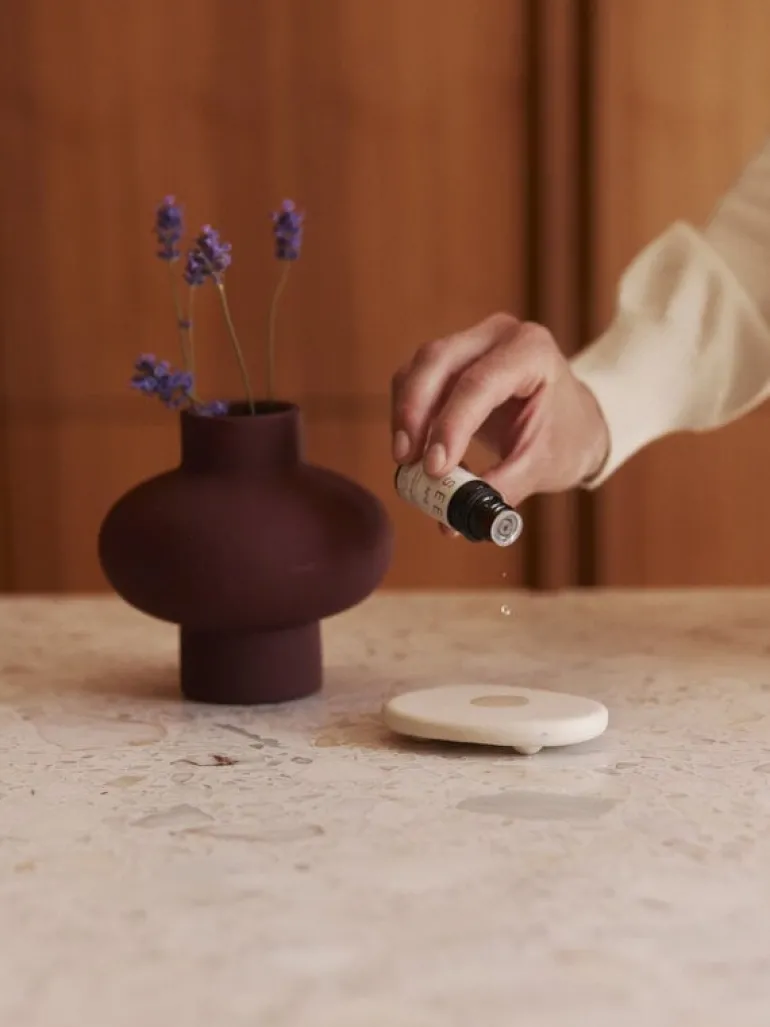 SEES Company Aroma stone - essential oil set, 10 ml, eucalyptus