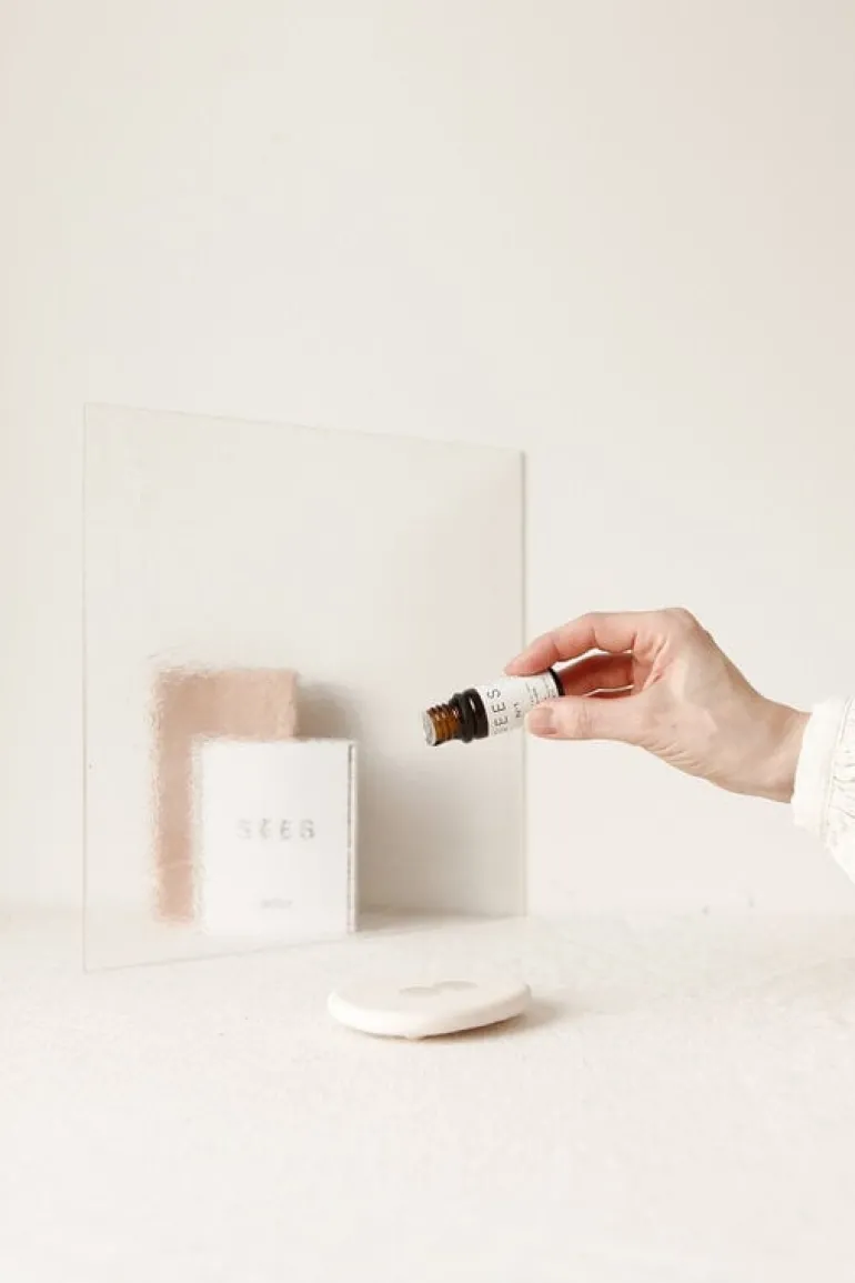 SEES Company Aroma stone - essential oil set, 10 ml, eucalyptus