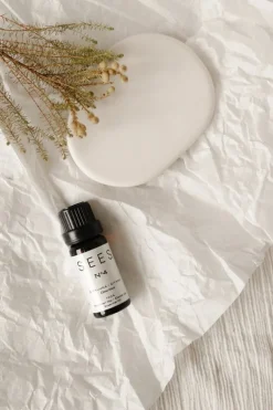 SEES Company Aroma stone - essential oil set, 10 ml, eucalyptus