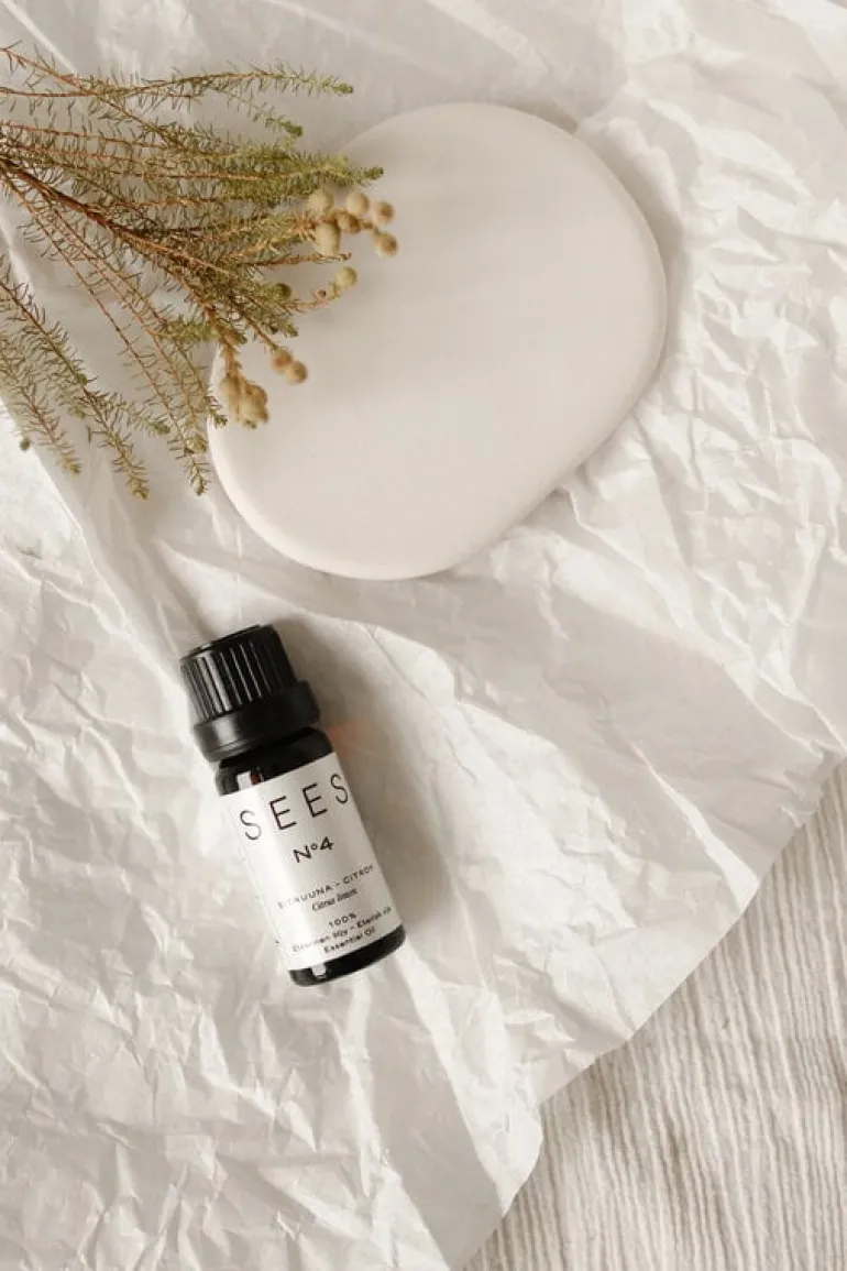 SEES Company Aroma stone - essential oil set, 10 ml, eucalyptus