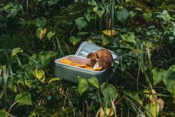 SIGG SIGG Metal Box Plus, S, aluminium