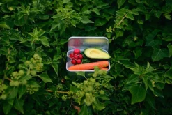 SIGG SIGG Metal Box Plus, S, aluminium