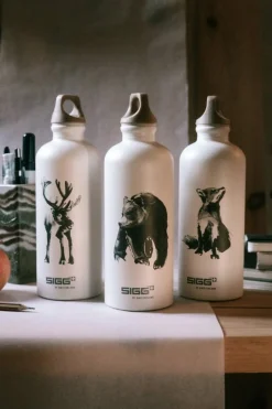 SIGG SIGG X TJ drinking bottle, 0,6 L, Gentle bear