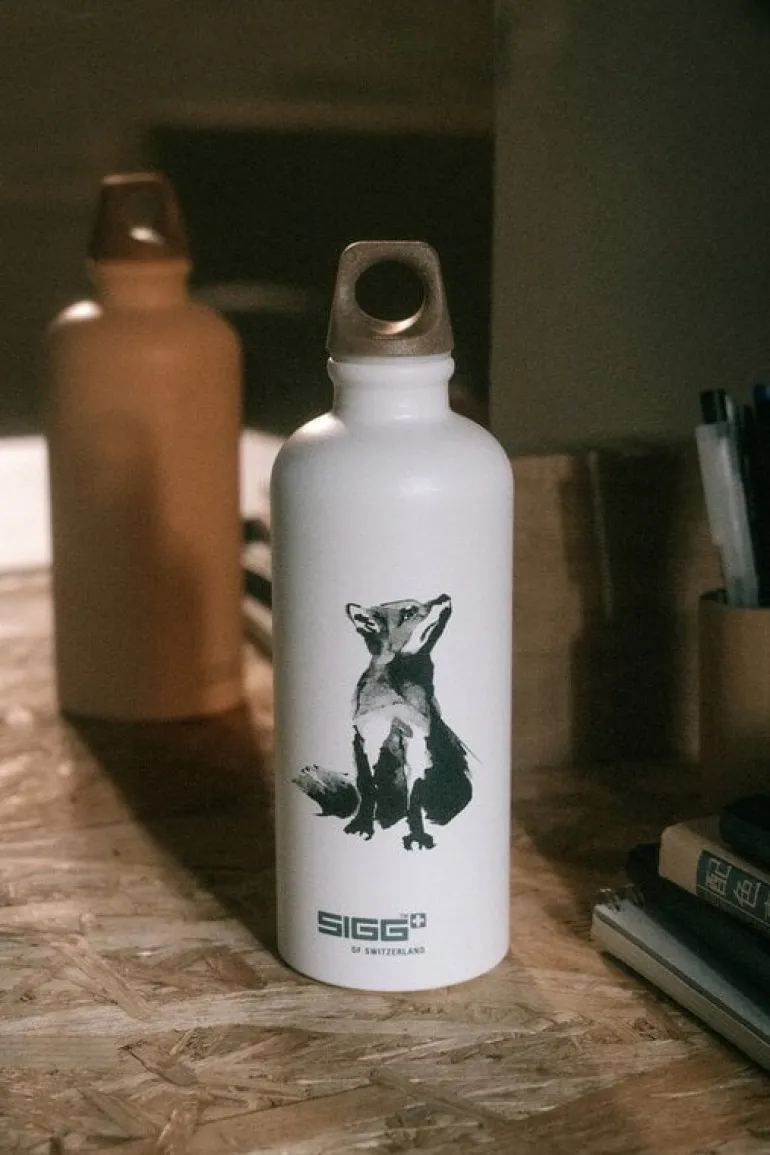 SIGG SIGG X TJ drinking bottle, 0,6 L, Fox