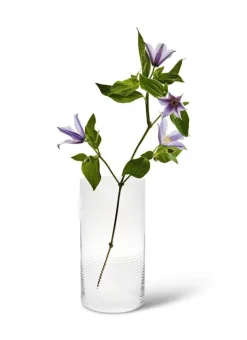 Spring Copenhagen Laine vase, cylinder, 25 cm, clear