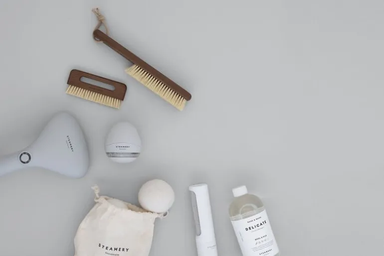 Steamery Clothing brush