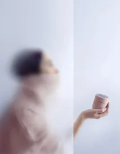 Steamery Pilo No. 2 fabric shaver, rose