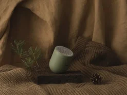 Steamery Pilo No. 2 fabric shaver, sage