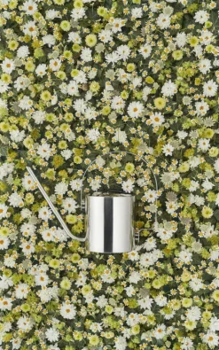 Stelton Original watering can