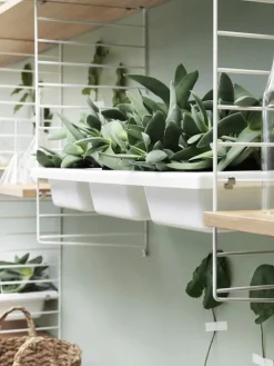 String Furniture String bowl shelf, white