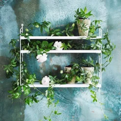 String Furniture String Pocket shelf, white