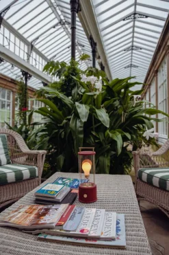 Tala The Muse portable lamp, Pomona Red