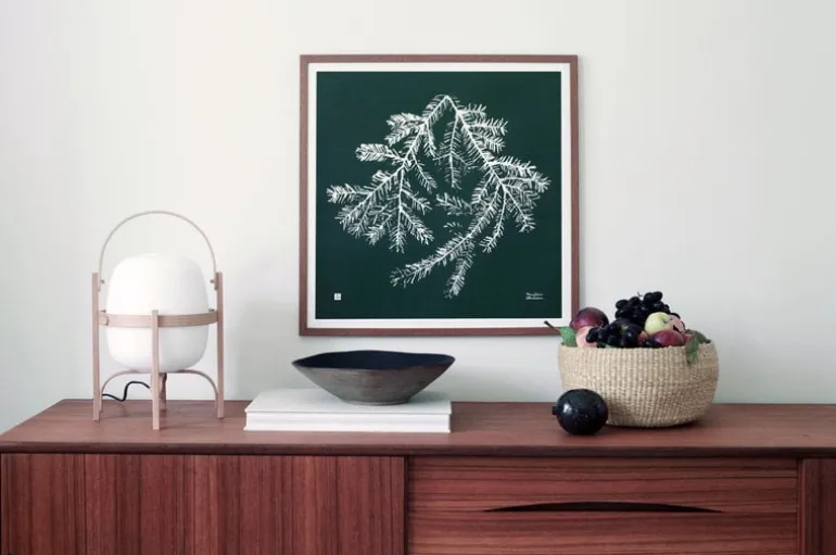 Teemu Järvi Illustrations Spruce Branch poster, 50 x 50 cm, forest green