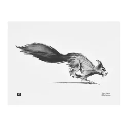 Teemu Järvi Illustrations Squirrel poster, 40 x 30 cm