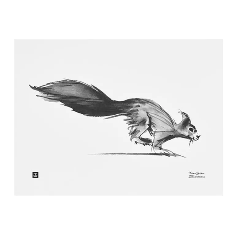 Teemu Järvi Illustrations Squirrel poster, 40 x 30 cm
