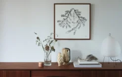 Teemu Järvi Illustrations Spruce Branch poster, 50 x 50 cm