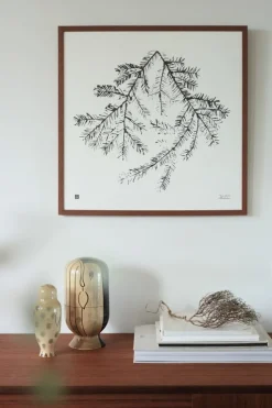 Teemu Järvi Illustrations Spruce Branch poster, 50 x 50 cm
