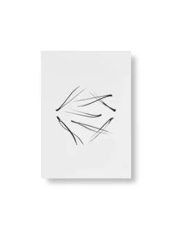 Teemu Järvi Illustrations Conifer mini poster set, 4 pcs