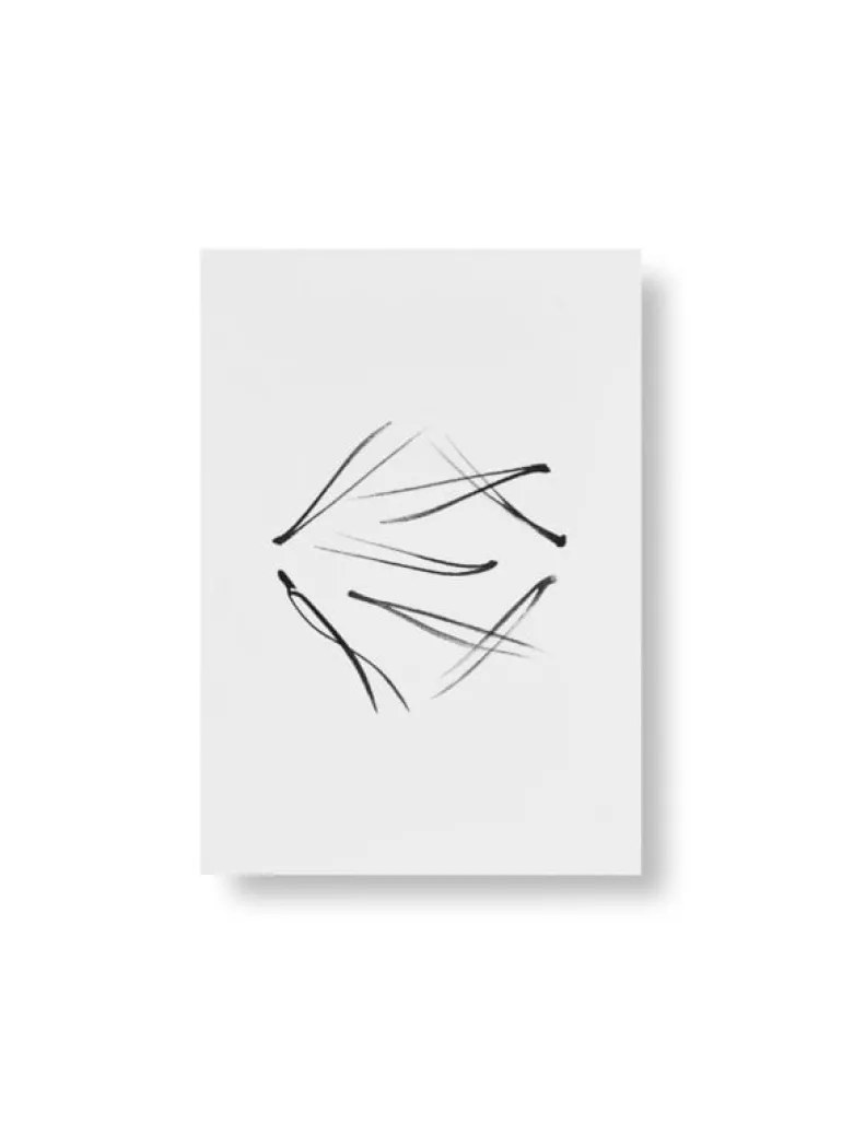 Teemu Järvi Illustrations Conifer mini poster set, 4 pcs