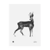 Teemu Järvi Illustrations Deer poster, 30 x 40 cm