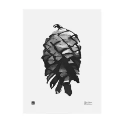 Teemu Järvi Illustrations Pine Cone poster, 30 x 40 cm