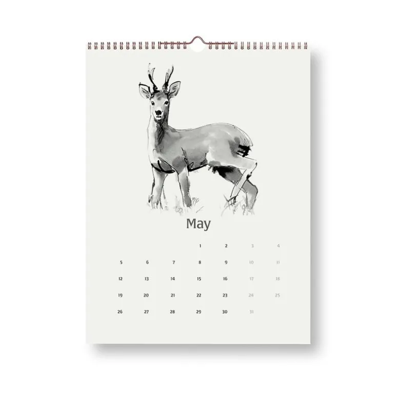 Teemu Järvi Illustrations The Heart of the Forest wall calendar 2025