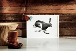 Teemu Järvi Illustrations Hare poster, 40 x 30 cm