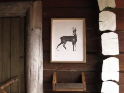 Teemu Järvi Illustrations Deer poster, 50 x 70 cm