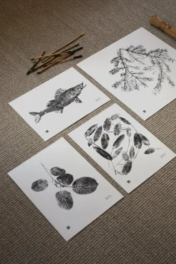 Teemu Järvi Illustrations Pondweed poster, 30 x 40 cm