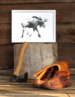 Teemu Järvi Illustrations Elk poster, 70 x 50 cm