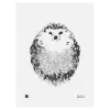 Teemu Järvi Illustrations Hedgehog poster, 30 x 40 cm