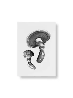 Teemu Järvi Illustrations Wild Mushroom mini poster set, 4 pcs