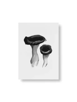 Teemu Järvi Illustrations Wild Mushroom mini poster set, 4 pcs