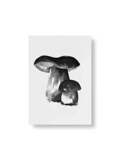 Teemu Järvi Illustrations Wild Mushroom mini poster set, 4 pcs
