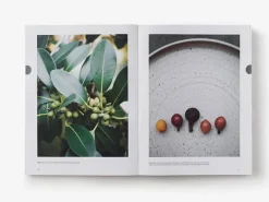 Thames & Hudson Eat Weeds