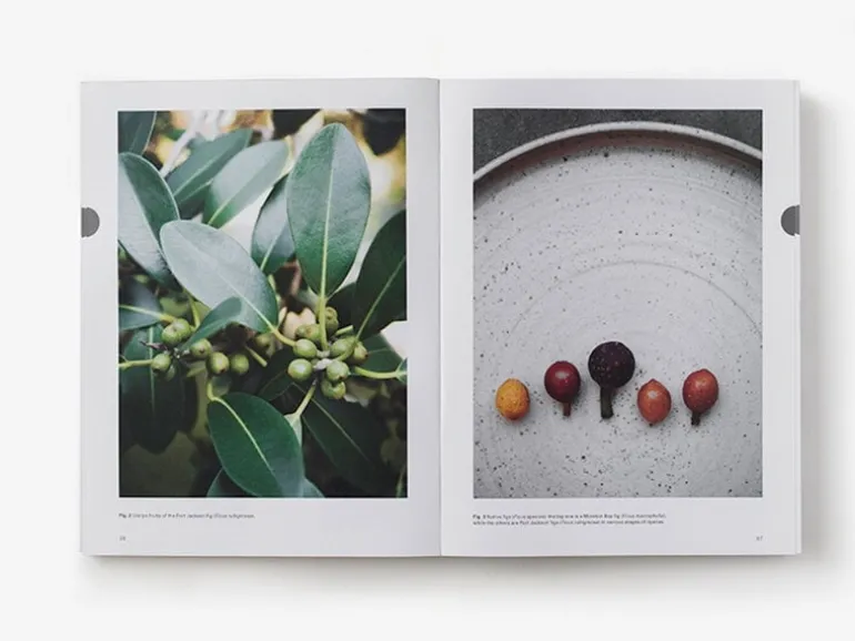 Thames & Hudson Eat Weeds